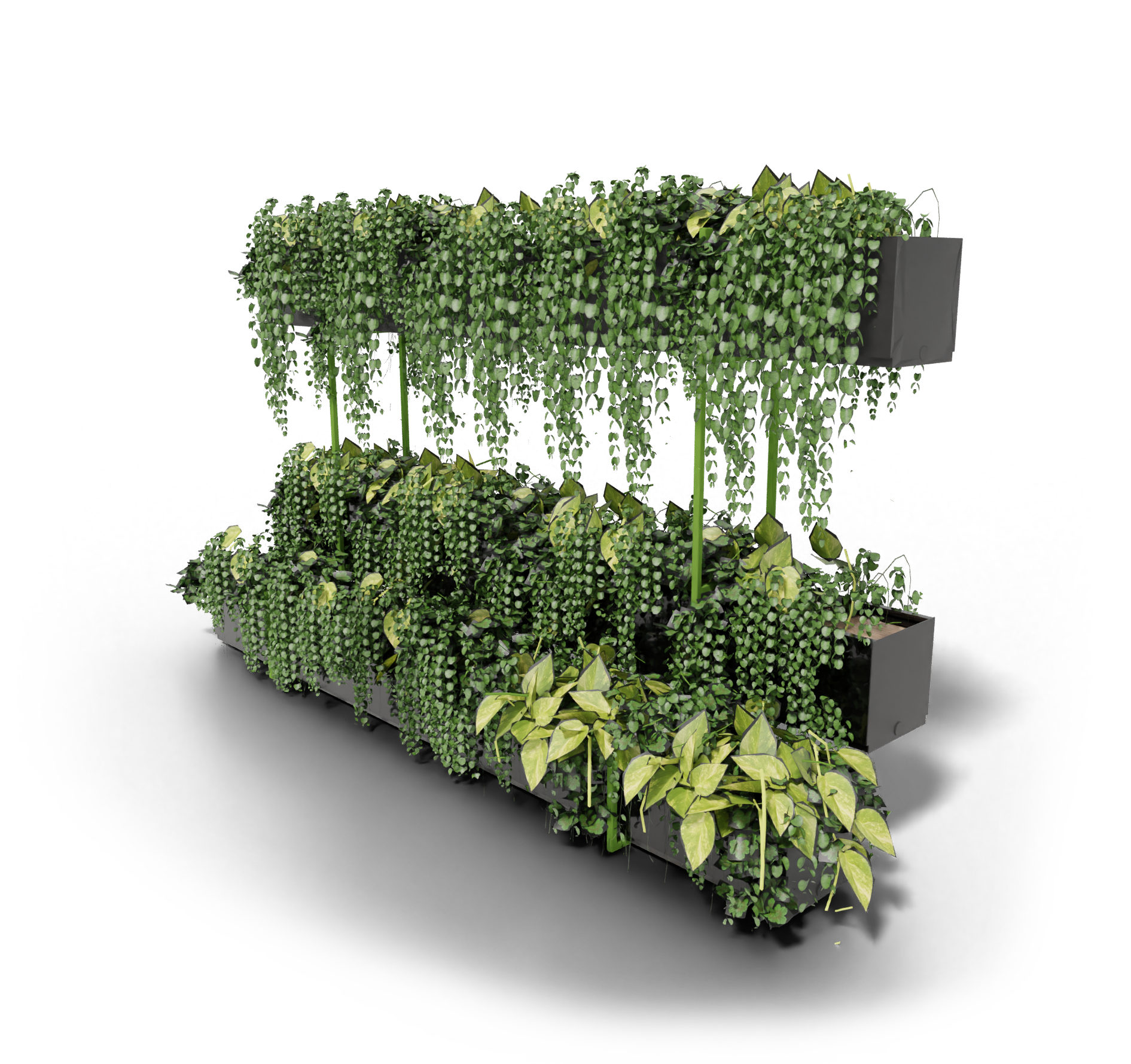 Pdesign- Bundle Translation missing: he.content.product_image_main